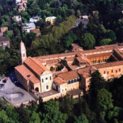Rizzoli Orthopaedic Institute