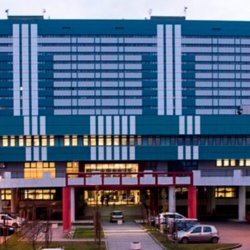 Central Teaching Hospital of the Medical University of Lodz (Department of Orthopaedics and Paediatric Orthopaedics)