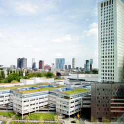 Erasmus MC - Sophia Children’s Hospital (Paediatric Orthopaedic Department)
